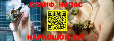 гидра Заводоуковск