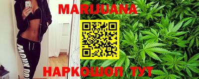 гидра Заводоуковск