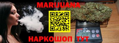 гидра Заводоуковск