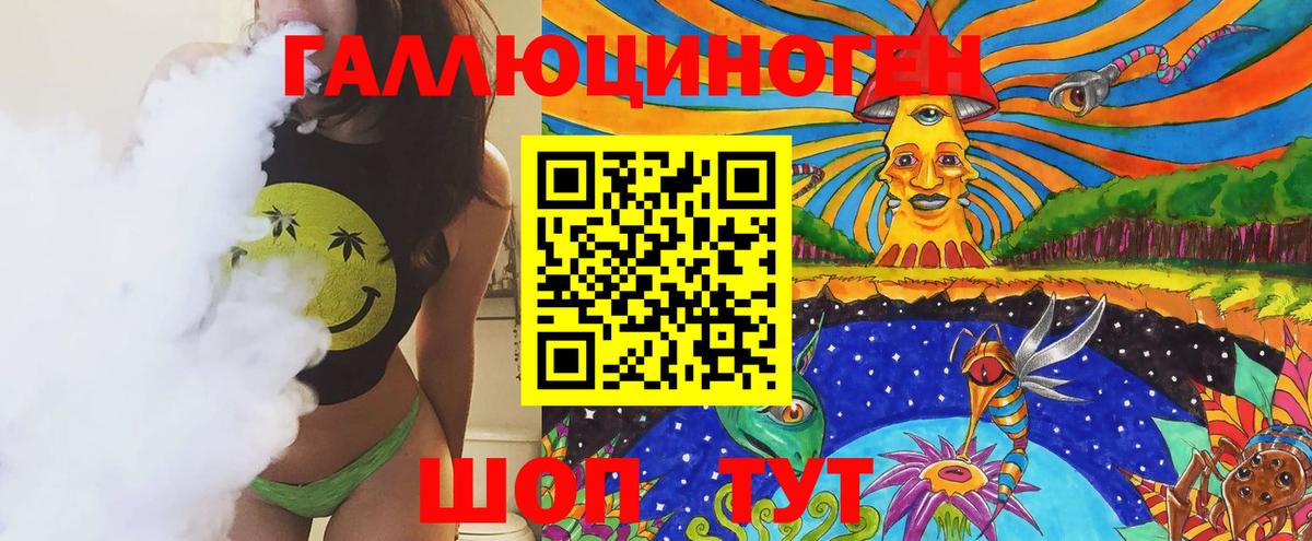 Псилоцибиновые грибы Psilocybe  Вход с VPN  Киселёвск 